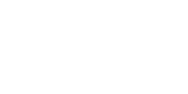 에이스 넷 Logo